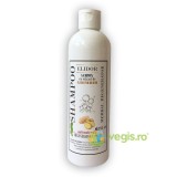 Sampon Regenerator cu Extract de Ghimbir 250ml