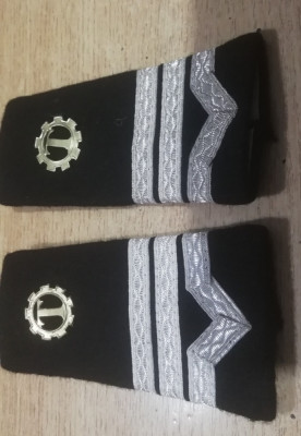 C2 19 - Grade militare - maistru militar tehnic - piesa de colectie! foto