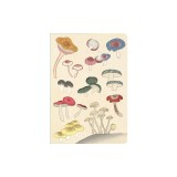 Japanese Wave Pattern Paperback Journal: Lined: 5 3/4 X 8 1/4, Notebook with Pocket, 144 Pages, Acid-Free Paper