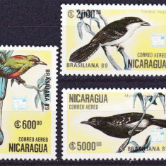 DB1 Fauna Pasari Nicaragua 7 v. MNH