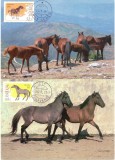 Portugalia 1987, Fauna, Cai, Maxime, Europa