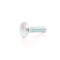 Surub cu filet metric, cu cap bombat torbant, zincat alb, diametru cap 16.55 mm, M6 x 40 mm