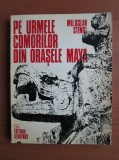 Miroslav Stingl - Pe urmele comorilor din orașele maya