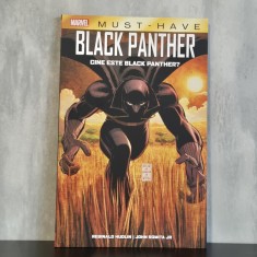 Reginald Hudlin; John Romita Jr. - Black Panther. Cine este Black Panther? | benzi desenate Marvel, Black Panther, supereroi