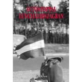 Aut&oacute;stoppal Lengyelorsz&aacute;gban