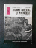 ALEXANDRU BOGDAN - ANATOMIE PATOLOGICA SI MICROBIOLOGIE. ANUL III, TREAPTA II