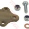 Pivot PEUGEOT 306 Hatchback (7A, 7C, N3, N5) (1993 - 2003) TRW JBJ731