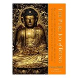 Carti in engleza: Introducere ilustrata Buddhism, istorie, meditatie