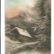 carte postala (ilustrata)-FRANTA-Cabana la munte