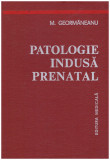 M. Geormaneanu - Patologie indusa prenatal - 129573
