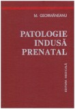 M. Geormaneanu - Patologie indusa prenatal - 129573