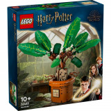 LEGO&reg; Harry Potter - Matraguna (76433), LEGO&reg;