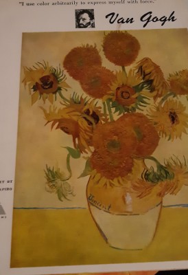 VAN GOGH MEYER SCHAPIRO foto