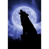 Cumpara ieftin Puzzle Schmidt - Julie Fain: Noapte cu luna plina, 500 piese