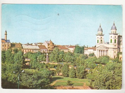bnk cp Satu Mare - Parcul Libertatii - circulata - marca fixa foto