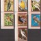 GUINEA ECUATORIALA FAUNA PASARI AFRICA ( serie dantelata ) MNH