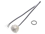Comutator Anti-vandalism IP65 &Oslash;19mm 50mA 24V