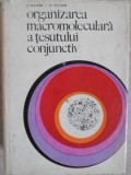 ORGANIZAREA MACROMOLECULARA A TESUTULUI CONJUNCTIV-C. VELICAN, D. VELICAN-217490