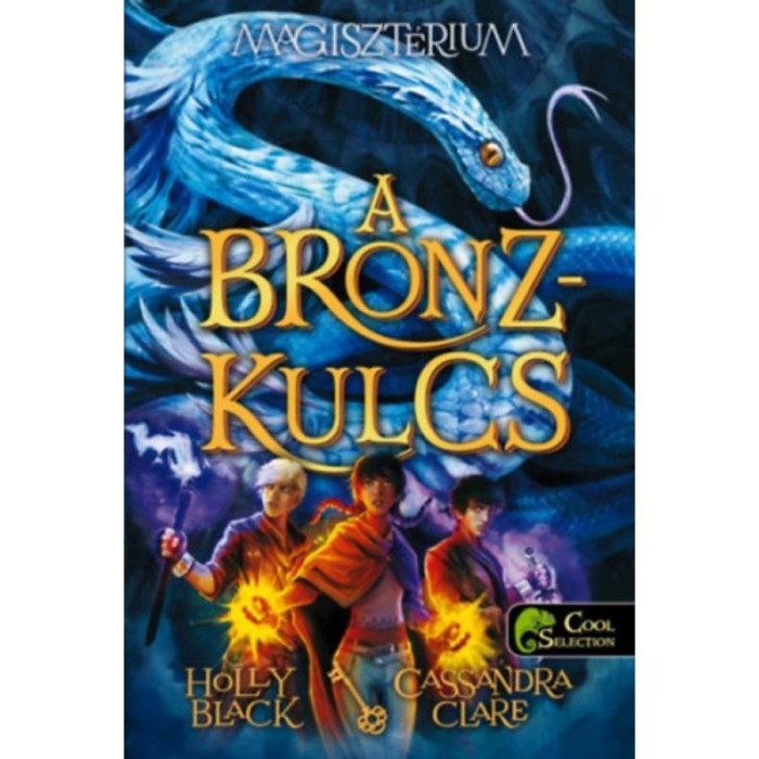 Magiszt&eacute;rium 3. - A bronzkulcs - puha k&ouml;t&eacute;s - Holly Black