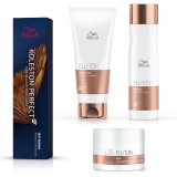 Cumpara ieftin Kit Silk &amp; Shine pentru ingrijirea profesionala a parului