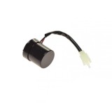 Releu Semnalizare Moto 2 Pini MX_NEW ZD2228 Universal