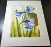 E123. Tablou original, Irisi, 2023, acuarela pe hartie, cu Passpartout, 30x40cm, Flori, Art Deco, RavariuArt
