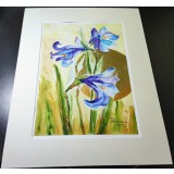 E123. Tablou original, Irisi, 2023, acuarela pe hartie, cu Passpartout, 30x40cm