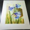 E123. Tablou original, Irisi, 2023, acuarela pe hartie, cu Passpartout, 30x40cm