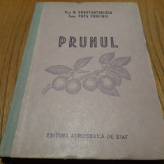 PRUNUL - N. Constantinescu, Popa Porfirie - Editura Agro-Silvica, 1956, 233 p.