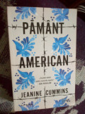 z1 Pamant american - Jeanine Cummins