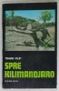 SPRE KILIMANDJARO de TRAIAN FILIP , 1976