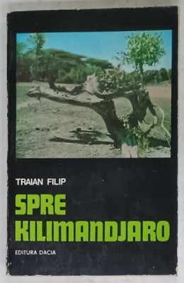 SPRE KILIMANDJARO de TRAIAN FILIP , 1976 foto