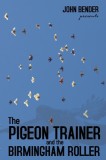 The Pigeon Trainer and the Birmingham Roller