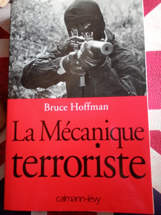 Bruce Hoffman, La mecanique terroriste