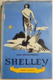 Shelley - Dan Grigorescu: Studii Literare, Critica Literara, Carte