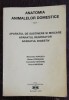 Anatomia Animalelor Domestice Vol. I: Aparat Sustinere, Respirator, Digestiv - Alexandru Popescu, Pro-Consul International, Editie 2001