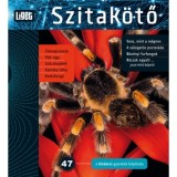 Szitak&ouml;tő 2019/47 - A k&iacute;v&aacute;ncsi gyerekek foly&oacute;irata - Horgas Judit