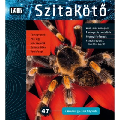 Szitak&amp;ouml;tő 2019/47 - A k&amp;iacute;v&amp;aacute;ncsi gyerekek foly&amp;oacute;irata - Horgas Judit foto