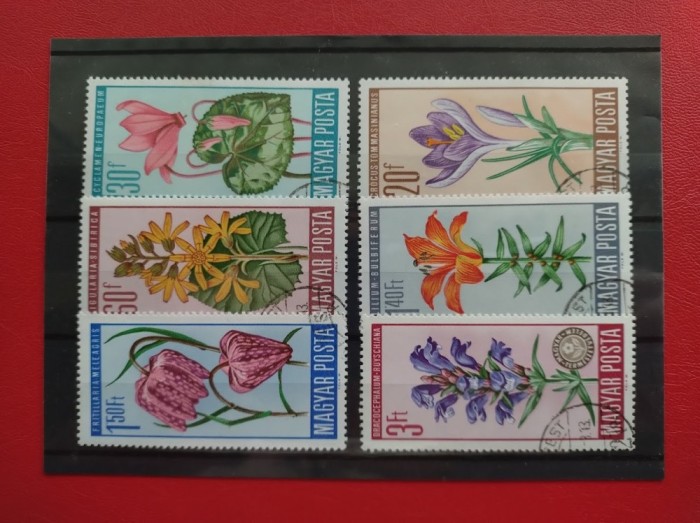 UNGARIA - FLORI