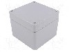 Carcasa aluminiu, 100mmx100mmx81mm, IP66, RAYCHEM RPG - RJ09