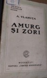 AMURG SI ZORI A VLAHUTA