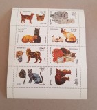 OMAN PISICI MINI COALA MNH