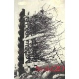 Secolul 20 - Revista de literatura universala (Nr. 3 / 1967)