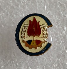 Insigna pionieri - Pionier comandant foto