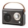 Radio Retro Electromures EM 1005 Maro, Bluetooth 5.3, USB, AUX, FM, 5W, Autonomie 6h, Baterie 1500mAh