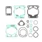 Set garnituri Top-End KTM SX 65 09- 22 Prox 35.6019