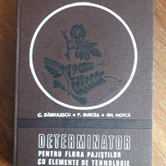 Determinator pentru flora pajistilor cu elemente de tehnologie / R5P4F