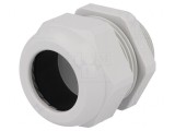 Intrare cablu M40 IP68 22-32mm termoplast gri