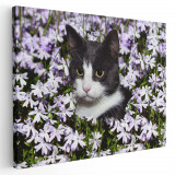 Tablou pisica negru cu alb printre flori Tablou canvas pe panza CU RAMA 70x100 cm