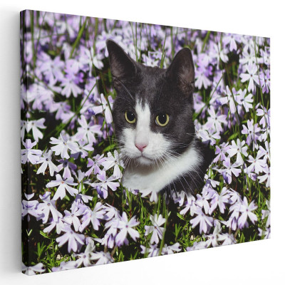 Tablou pisica negru cu alb printre flori Tablou canvas pe panza CU RAMA 30x40 cm foto